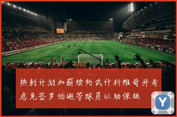 热刺计划加薪续约武什科维奇并考虑免签罗伯逊等球员以助保级